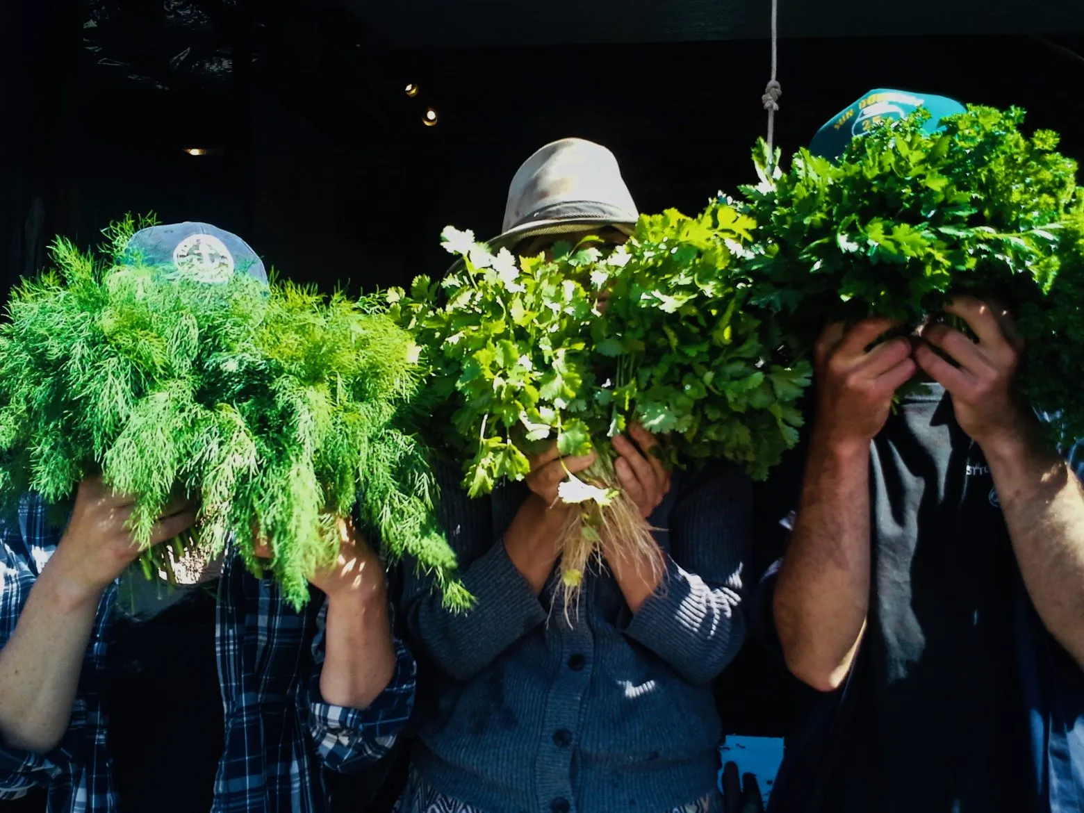 Herbs