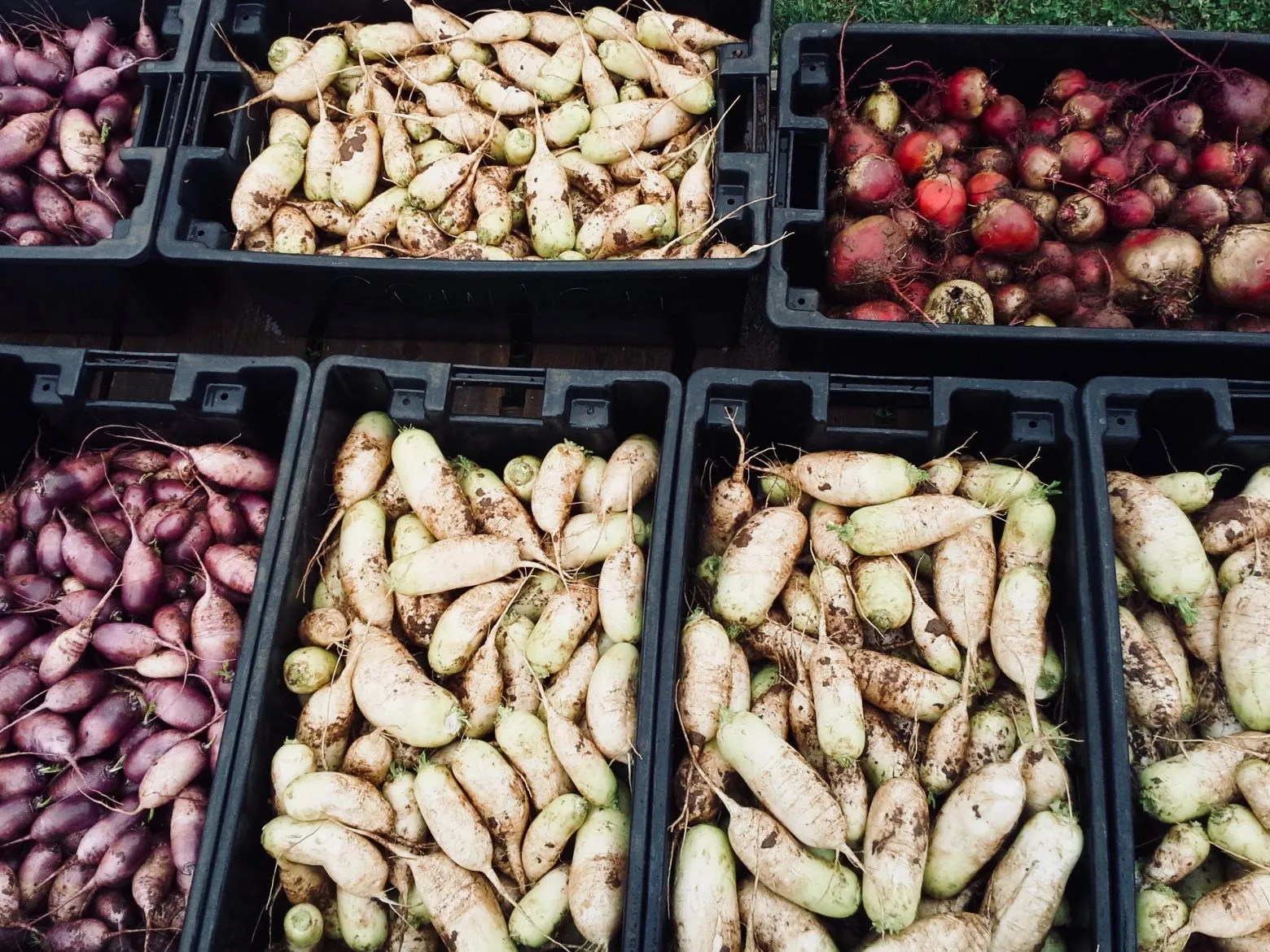 Vegetables