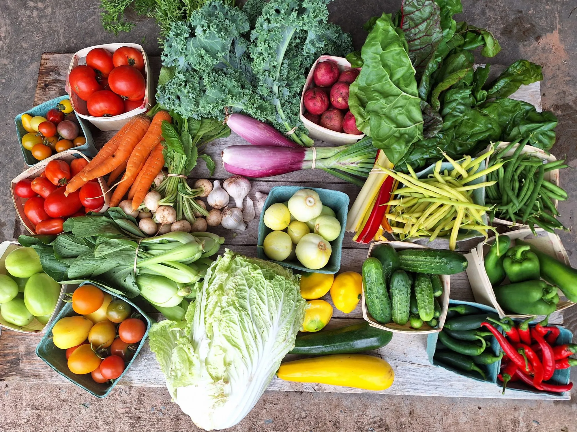 A spread of freshly harvested organic produce